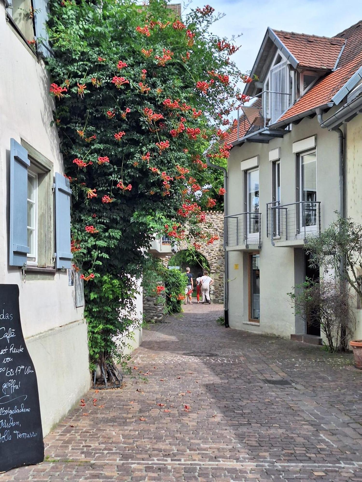 Ferienwohnung Ueberblick 博登斯边的拉多夫采尔 外观 照片